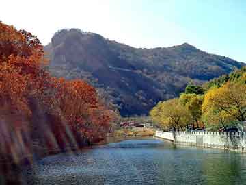 新澳天天彩免费资料大全查询，日本山田气动隔膜泵